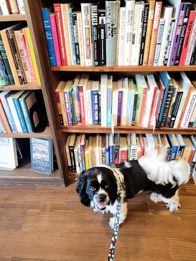 Used Book Store «Idle Time Books», reviews and photos, 2467 18th St NW, Washington, DC 20009, USA