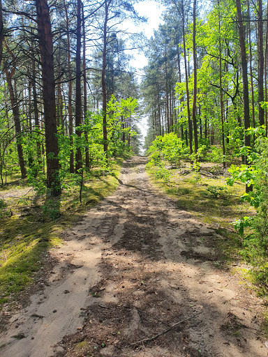 Mazowiecki Park Krajobrazowy