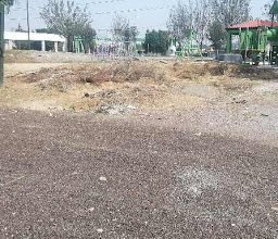 CULTURAL WALK FREE WOMEN photo