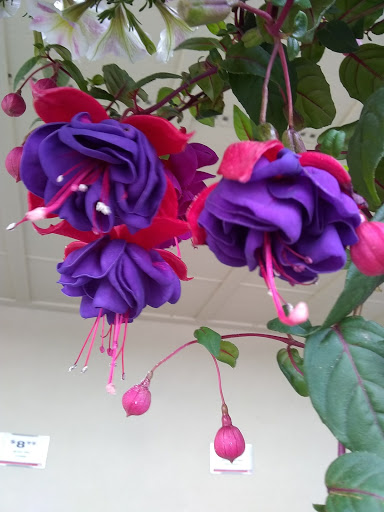 Hardware Store «Westlake Ace Hardware 109», reviews and photos, 550 US-175 Frontage Rd #108, Seagoville, TX 75159, USA