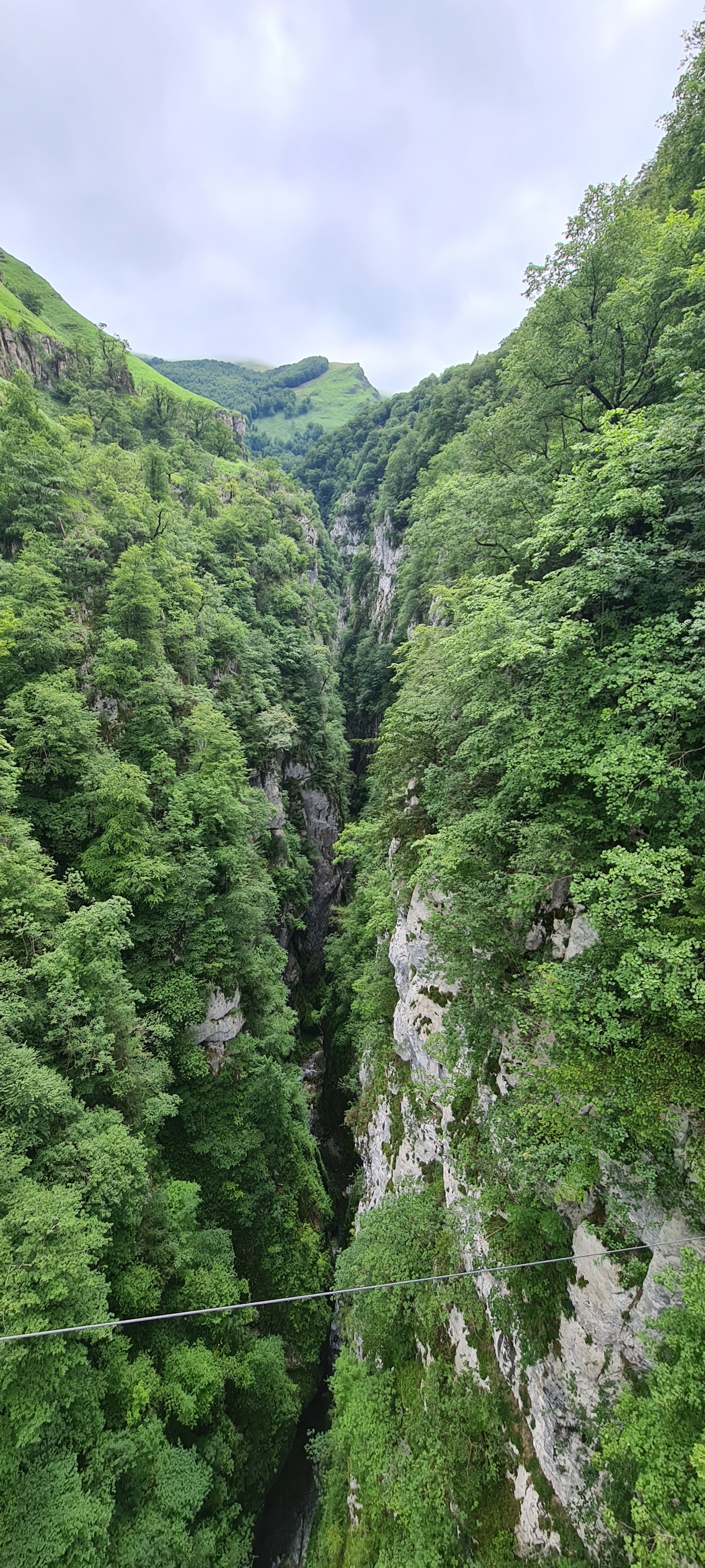 Photo n° 1 de l'avis de Nat.a fait le 02/07/2022 à 13:43