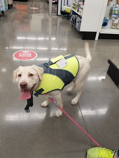 Pet Supply Store «Petco Animal Supplies», reviews and photos, 2687 Countryside Dr, Turlock, CA 95380, USA