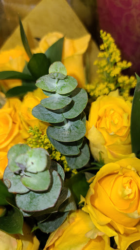 Grocery Store «Quality Food Center», reviews and photos, 13304 SE 240th St, Kent, WA 98042, USA