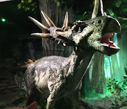 DINO Adventure photo