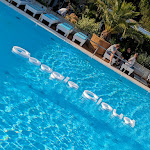 Photo n°3 de l'avis de Kai.i fait le 05/07/2023 à 21:39 sur le  Haubentaucher Berlin à Berlin