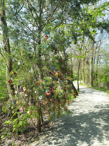 Park «Macgregor Park», reviews and photos, Macgregor Park Rd, Westfield, IN 46074, USA