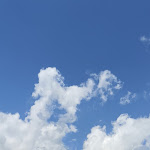 Photo n°4 de l'avis de Mariangela.o fait le 19/07/2023 à 11:55 sur le  Neve à Zambla Alta