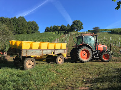 Ferme Zimpfer à Soultz-Haut-Rhin