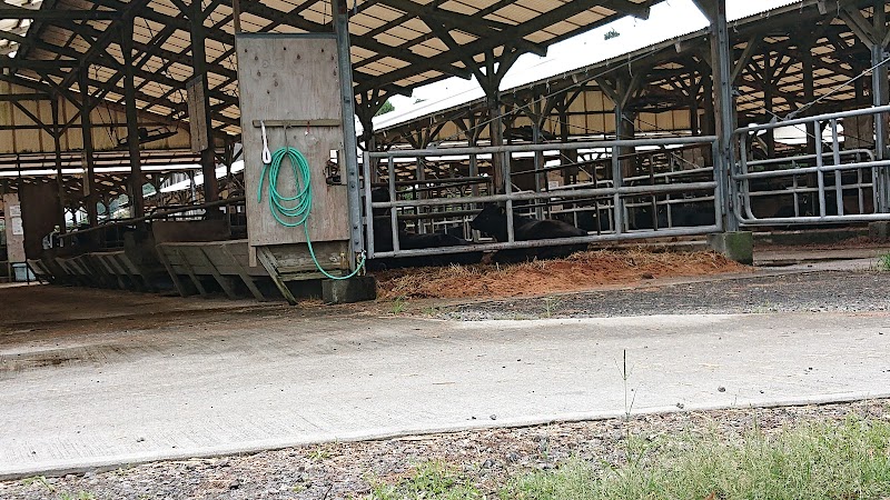 鹿児島県経済連畜産実験牧場