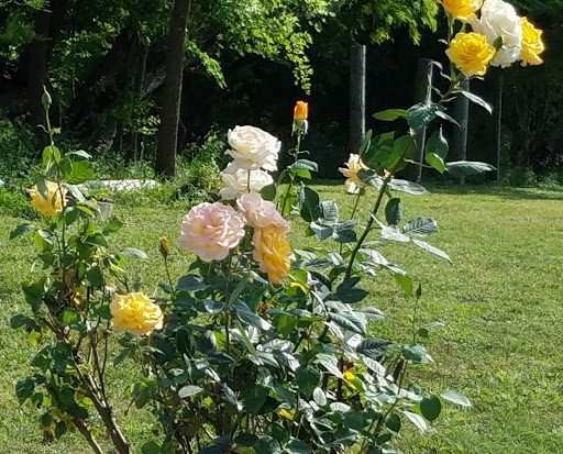 RV Park «Hidden Valley RV Park», reviews and photos, 5706 Coleman Way, Von Ormy, TX 78073, USA