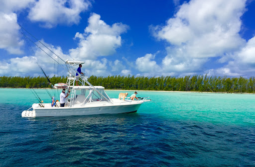 Sporting Goods Store «Adventure Sports», reviews and photos, 2750 SW 26th Ave, Miami, FL 33133, USA