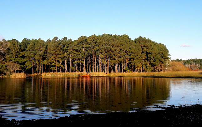 Parque de Ose