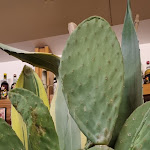 Photo n°10 de l'avis de Cosima.a fait le 05/01/2022 à 21:28 sur le  Trattoria Della Fortuna à Iesi