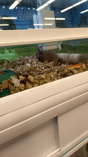 Pet Store «Market Street PET DEPOT», reviews and photos, 2979 S Market St, Gilbert, AZ 85295, USA