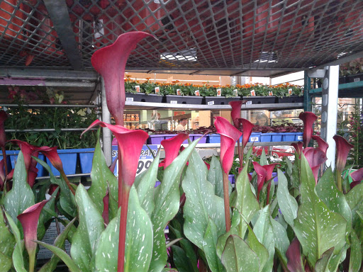 Supermarket «Best Market Islip», reviews and photos, 155 Islip Ave, Islip, NY 11751, USA