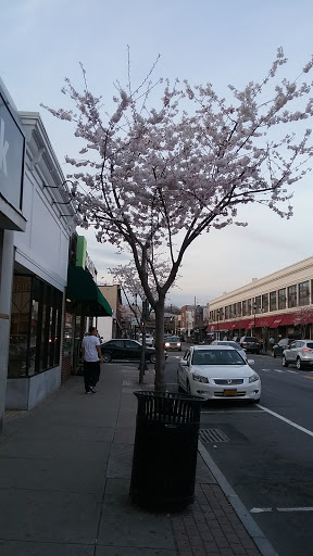 Supermarket «La Placita Supermarket», reviews and photos, 155 N Main St, Port Chester, NY 10573, USA