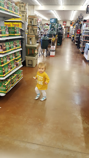 Hardware Store «Wimberley Ace Hardware», reviews and photos, 14307 Ranch Rd 12, Wimberley, TX 78676, USA