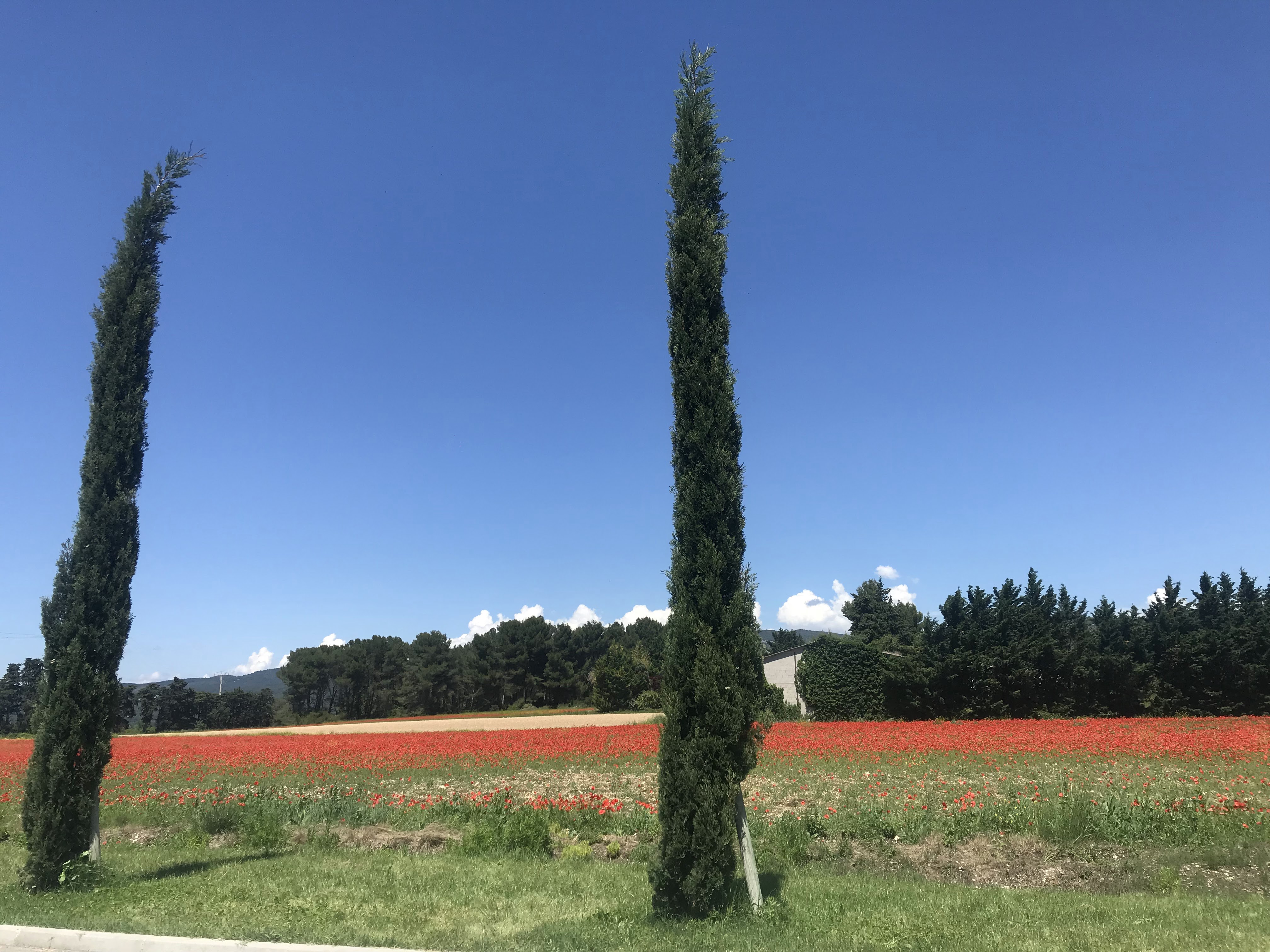 Photo n° 9 de l'avis de Marina. fait le 01/06/2018 à 21:32