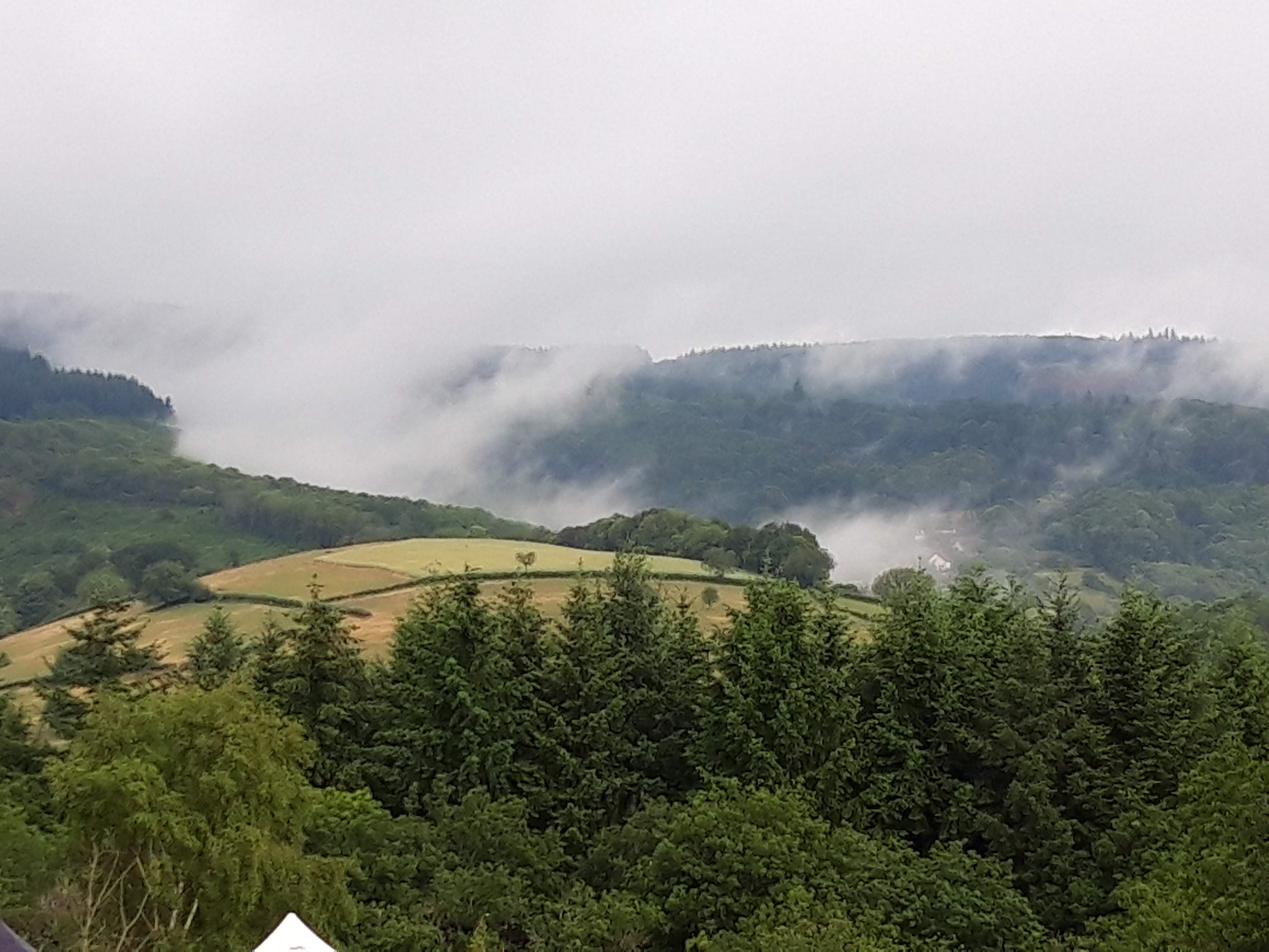 Photo n° 1 de l'avis de Sylvie.r fait le 17/06/2019 à 21:22