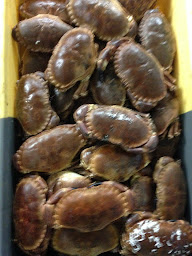 Photo n°55 de Gouguec à Larmor-Baden ()