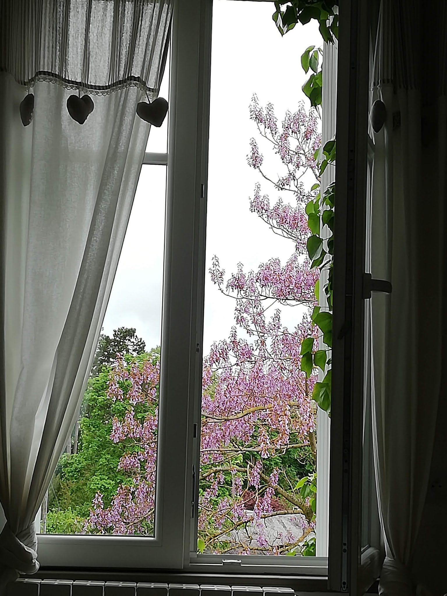 Photo n° 49 de l'avis de Valérie.I fait le 17/05/2021 à 16:08