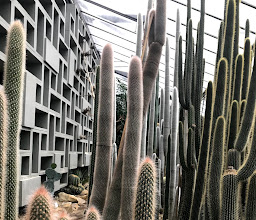 Tropical Greenhouses at the Botanical Gardens photo