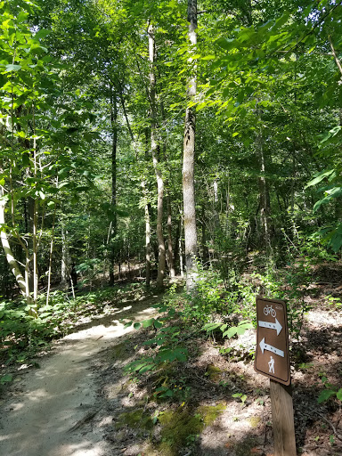 Anne Springs Close Greenway – Blue Star