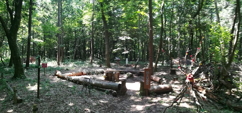 森の集会所