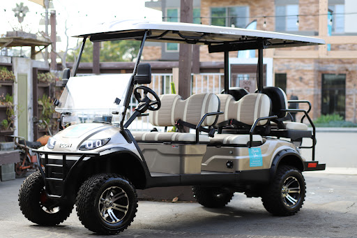 Beach Vibe Rentals & Sales LLC - Golf Cart & E-bikes