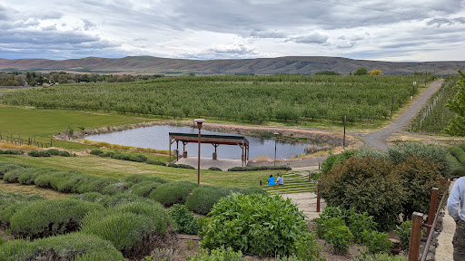 Event Venue «Gilbert Cellars Winery at The Hackett Ranch», reviews and photos, 2620 Draper Rd, Yakima, WA 98903, USA