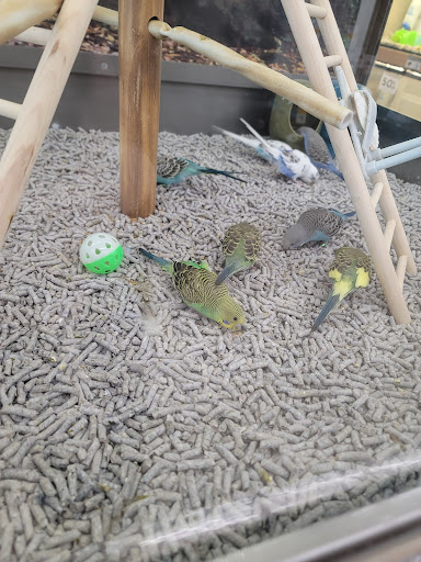 Pet Supply Store «Petco Animal Supplies», reviews and photos, 5951 6th Ave, Tacoma, WA 98406, USA