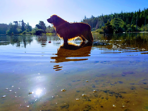 Pet Supply Store «Mini Pet Mart», reviews and photos, 815 S Broadway, Coos Bay, OR 97420, USA