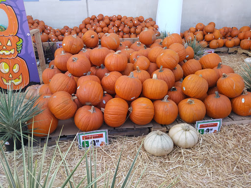 Home Improvement Store «The Home Depot», reviews and photos, 1305 S Lone Hill Ave, Glendora, CA 91740, USA