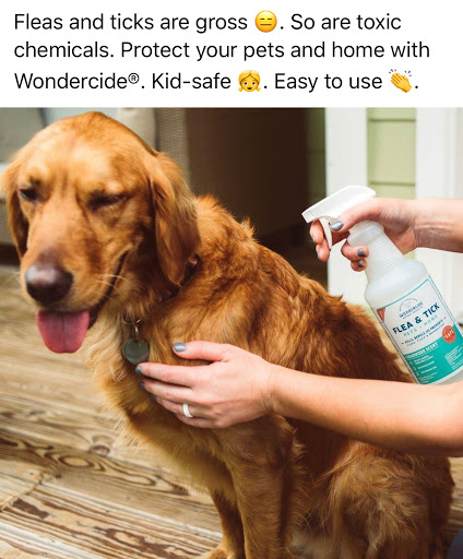 Pet Groomer «The Pet Set - Buckhead», reviews and photos, 2480 Briarcliff Rd NE #3, Atlanta, GA 30329, USA