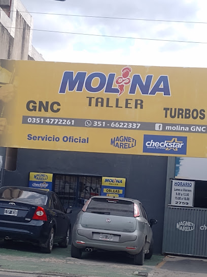 Turbos Molina