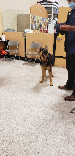 Pet Supply Store «PetSmart», reviews and photos, 428 Randall Rd, South Elgin, IL 60177, USA