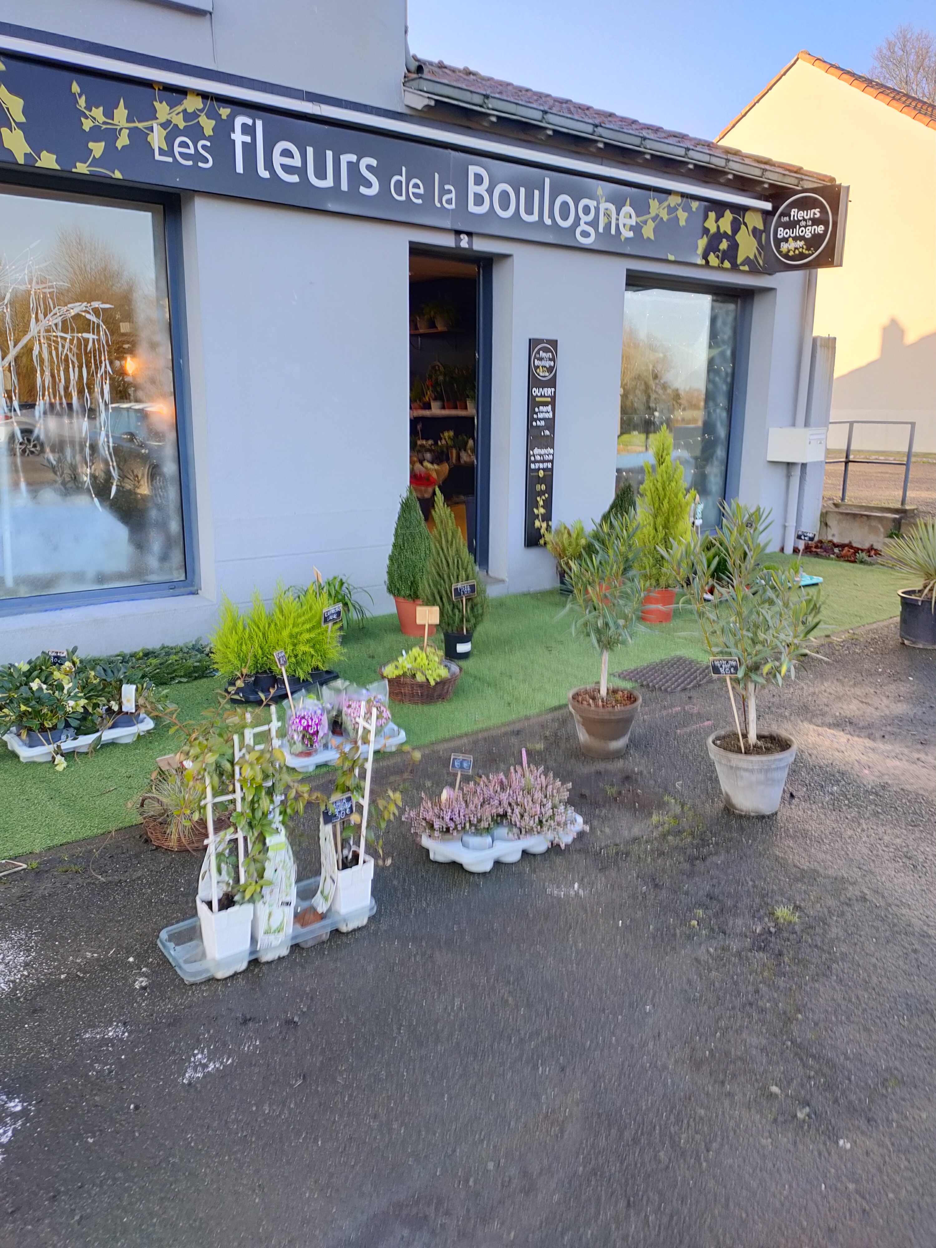 Photo n° 1 de l'avis de Thomas.u fait le 31/12/2021 à 10:30