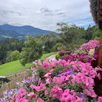 Photo n°10 de l'avis de Elisa.r fait le 07/08/2023 à 19:24 sur le  Saderhof - Hofschank & Zimmer à Brixen