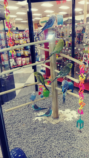 Pet Supply Store «Petco Animal Supplies», reviews and photos, 1250 William D Tate Ave #200, Grapevine, TX 76051, USA