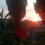 Photo n°3 de l'avis de Almudena.e fait le 08/08/2018 à 19:28 sur le  Ristorante Nuvolari à Castellina in Chianti