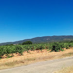 Photo n° 1 de l'avis de Suzy.o fait le 09/08/2017 à 16:15 pour Sun-E-Bike à Bonnieux