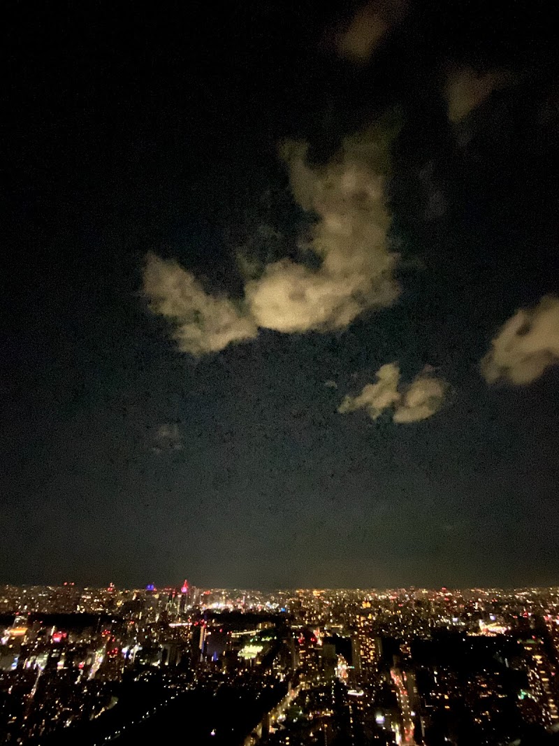 六本木ヒルズ森タワー 東京都港区六本木 ショッピング モール グルコミ