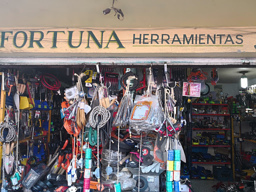 Herramientas la fortuna