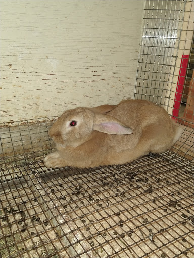 Pet Supply Store «PetSmart», reviews and photos, 3050 Middle Country Rd, Nesconset, NY 11767, USA