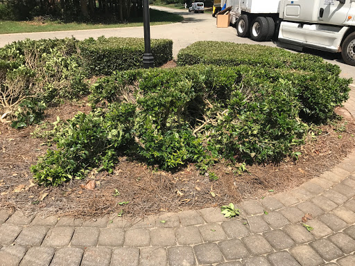 Moving Company «Hilldrup Moving & Storage», reviews and photos, 1325 Carrier Dr, Charlotte, NC 28216, USA