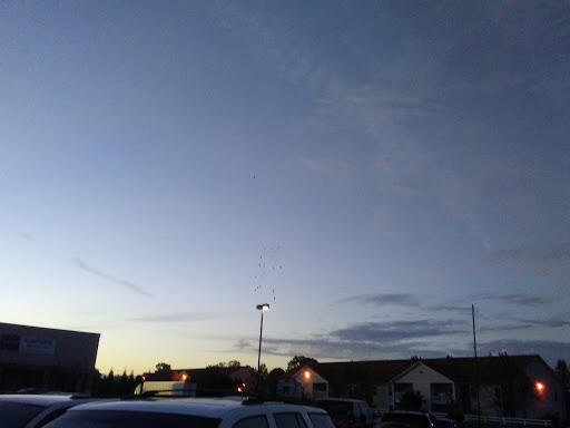 Grocery Store «Price Less Foods», reviews and photos, 175 Cs-5007, Hillview, KY 40129, USA