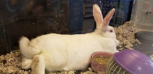 Pet Supply Store «PetSmart», reviews and photos, 13600 Baltimore Ave, Laurel, MD 20707, USA