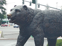 Brown Bear Car Wash - Photo 3 - Car repair in Redmond, WA, Seattle