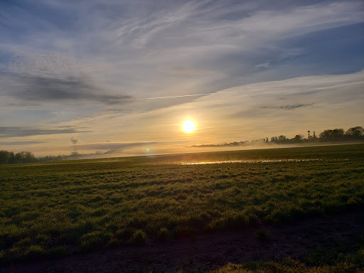 Golf Club «Golf Club of Oregon», reviews and photos, 905 NW Springhill Dr, Albany, OR 97321, USA