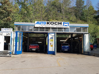 Auto-Koch Autoinstandsetzung